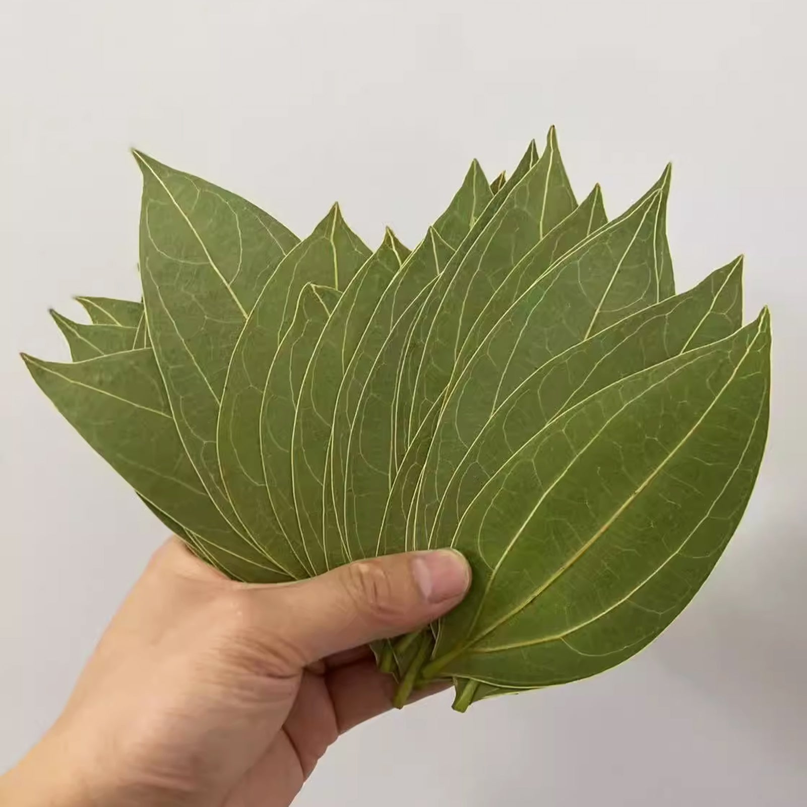 ComMarker Blank Leaf Engraving Kit (10pcs)