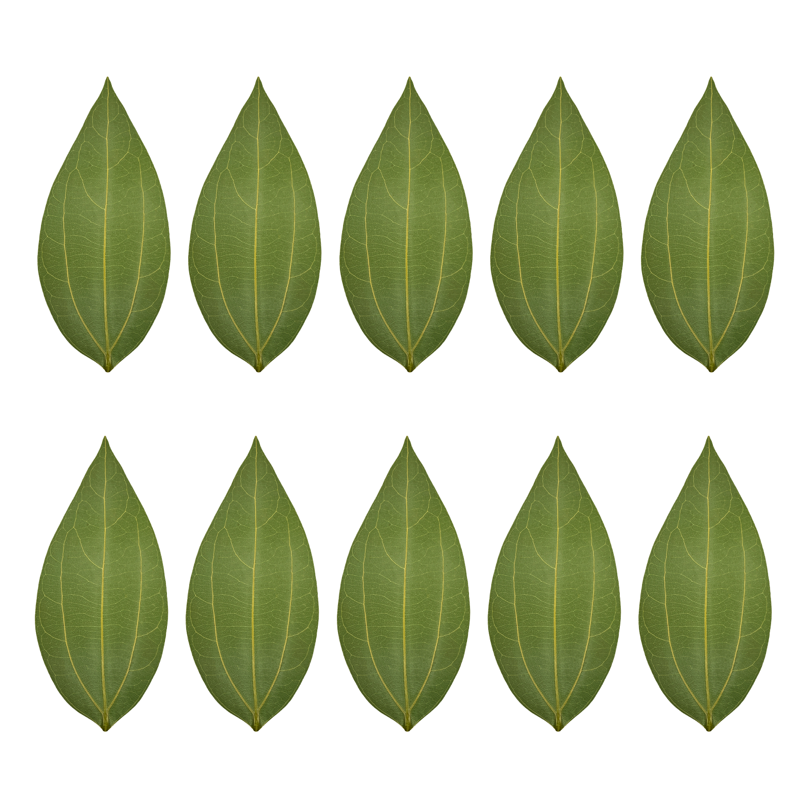 ComMarker Blank Leaf Engraving Kit (10pcs)